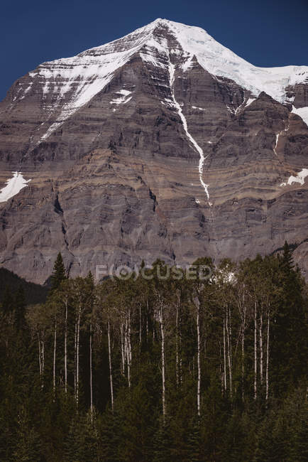 Snow capped mountain on a sunny day — Stock Photo