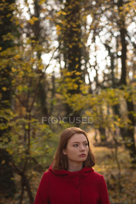 Donna in piedi nel parco durante l'autunno — Foto stock