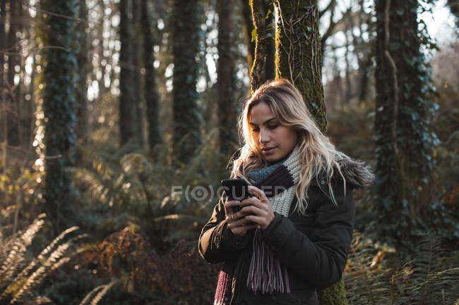 Mujer rubia usando teléfono móvil en el bosque . - foto de stock