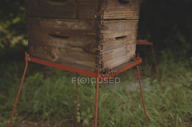 Primer plano de la caja de colmenas en la granja - foto de stock