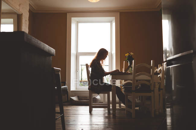 Vista lateral da mulher usando laptop em casa — Fotografia de Stock