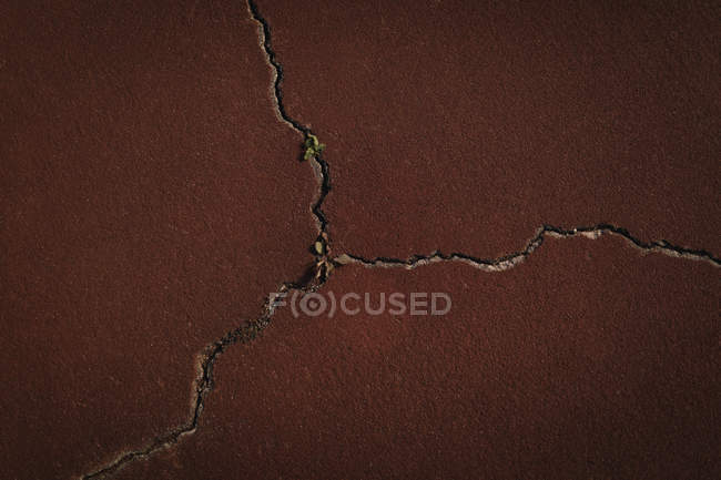 Close-up of cracked tennis court — Stock Photo