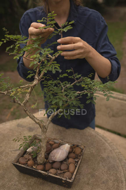 Femme vérifiant la plante dans le jardin — Photo de stock