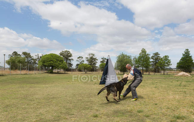 Allenatore che allena il cane pastore nel campo in una giornata di sole — Foto stock