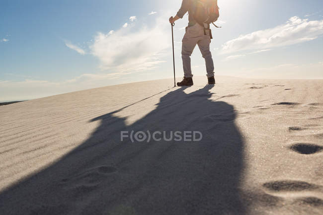 Vue arrière du randonneur avec poteau de randonnée marchant sur le sable — Photo de stock