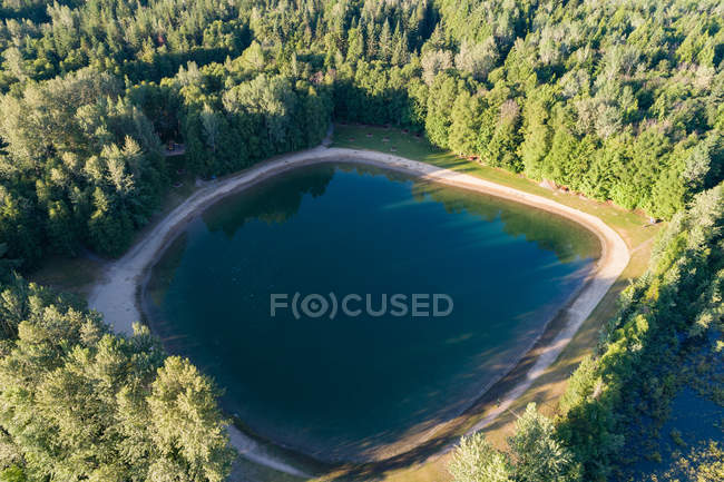 Aerial of turquoise pool surrounded with dense green forest — Stock Photo