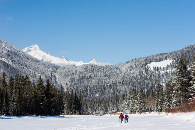 Casal caminhando juntos em paisagem nevada durante o inverno — Fotografia de Stock
