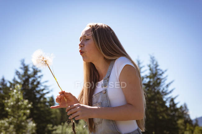 Mädchen bläst im Sommer weißen Löwenzahn in Feld. — Stockfoto