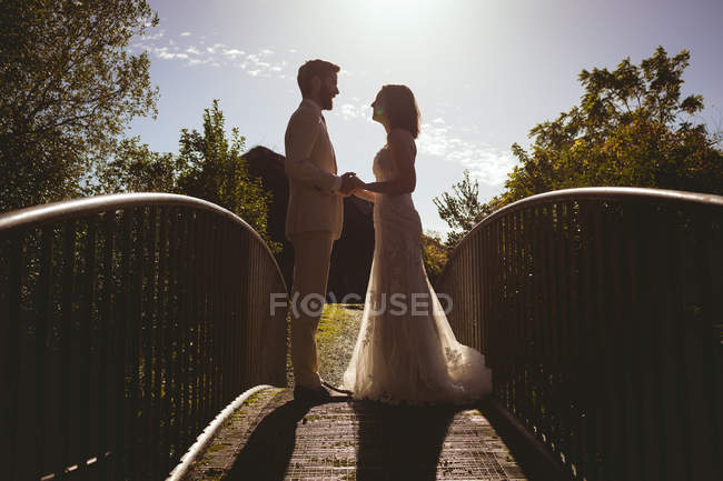 Жених и невеста держатся за руки на пешеходном мосту в саду — стоковое фото