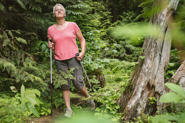 Mulher madura andando com postes de caminhada na floresta — Fotografia de Stock