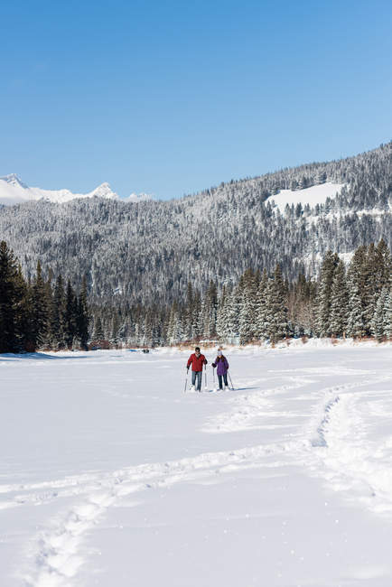 Pareja caminando juntos en el paisaje nevado durante el invierno . - foto de stock