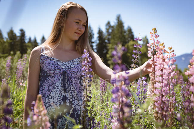 Chica tocando flores en el campo en verano . - foto de stock