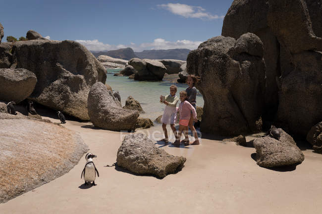 Siblings taking picture of penguin at beach on a sunny day — Stock Photo