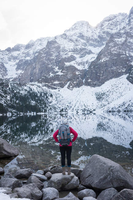 Вид ззаду жінки з рюкзаком, що стоїть на березі озера взимку — стокове фото