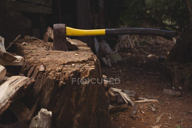 Machado no toco da árvore no jardim — Fotografia de Stock