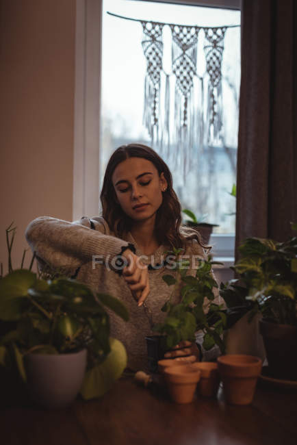 Bella donna piantare piante nel vaso a casa — Foto stock