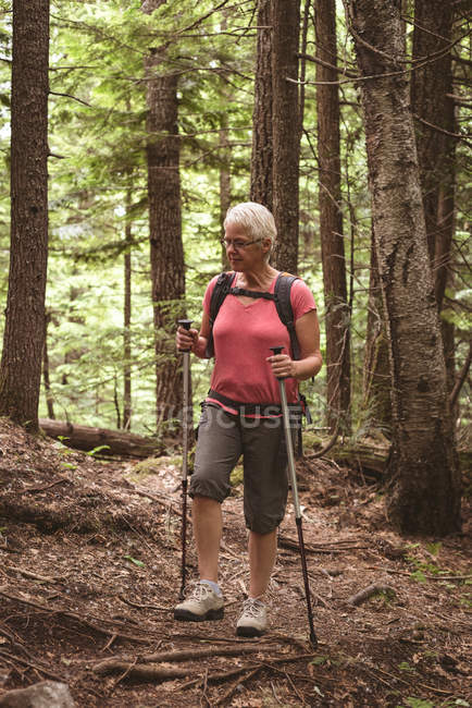 Mature woman with hiking poles standing in the forest — Stock Photo