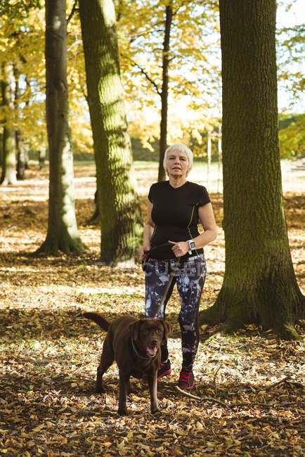 Donna anziana che cammina nel parco con un cane in una giornata di sole — Foto stock