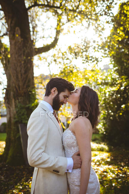 Bride kissing on grooms forehead in the garden on a sunny day — Stock Photo