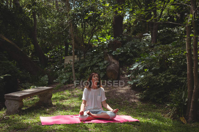 Женщина практикует йогу в саду в солнечный день — стоковое фото