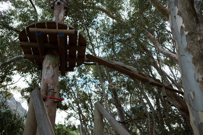 Vue à angle bas des équipements de sport d'aventure en bois dans la forêt — Photo de stock