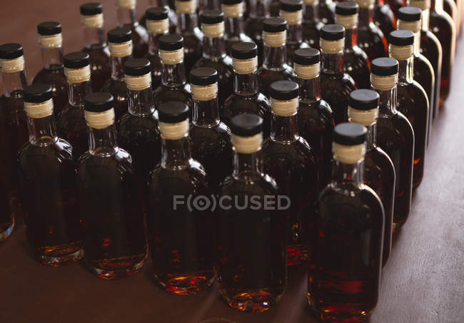 Bottiglie di gin disposte di fila in fabbrica — Foto stock