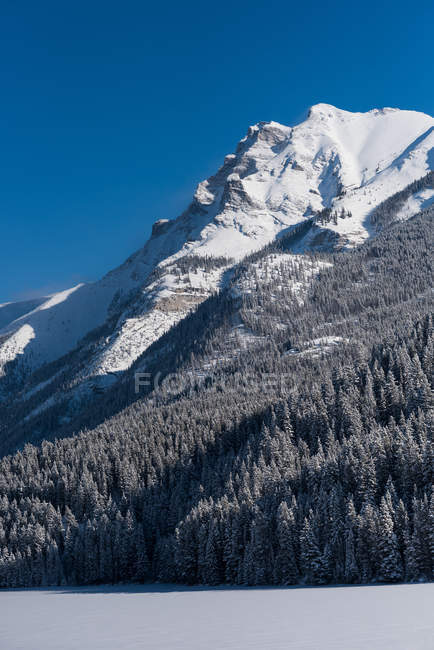 Belas montanhas cobertas de neve e bosques em Revelstoke, British Columbia, Canadá . — Fotografia de Stock