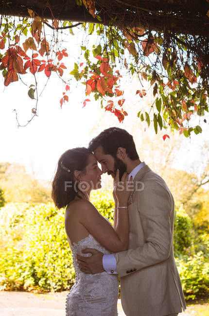 Braut und Bräutigam schauen sich im Garten in die Augen — Stockfoto