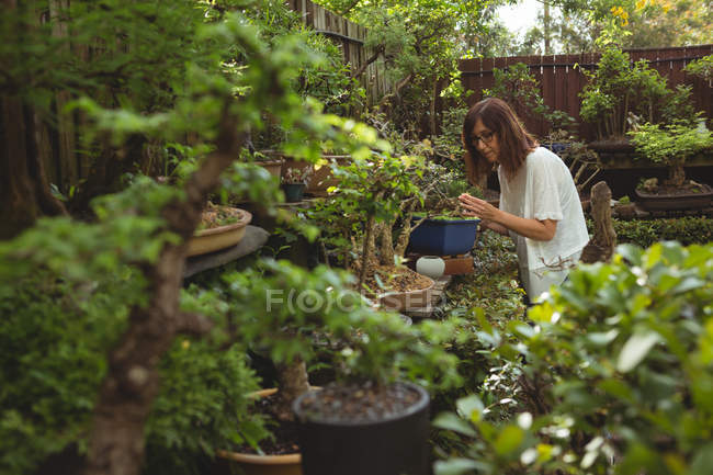 Жінка працює в саду на сонячному — стокове фото
