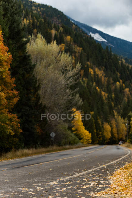 Country road passing through autumn forest and mountains — Stock Photo