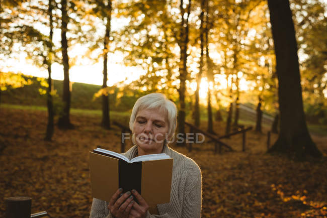 Mujer mayor leyendo libro en el parque en un día soleado - foto de stock