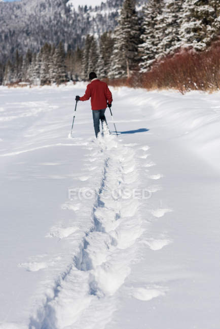 Homem caminhando com bastões de esqui em bosque nevado, vista traseira . — Fotografia de Stock