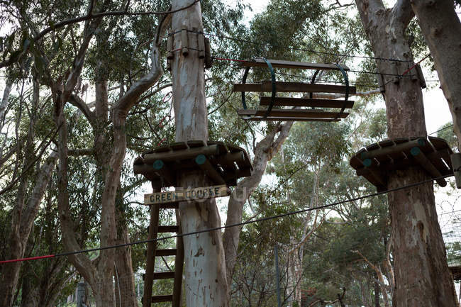 Vista de baixo ângulo de equipamentos esportivos de aventura de madeira na floresta — Fotografia de Stock