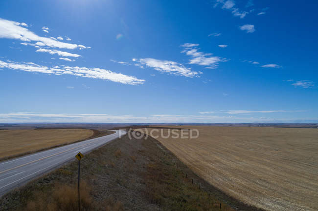 Estrada vazia passando pelo campo de trigo em um dia ensolarado — Fotografia de Stock