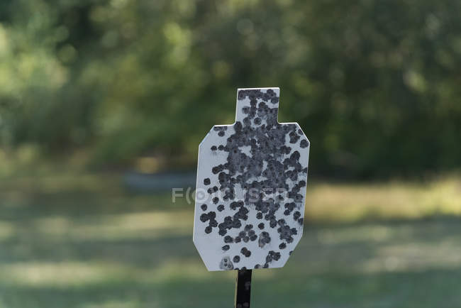 Target for a shooting range on a sunny day — Stock Photo