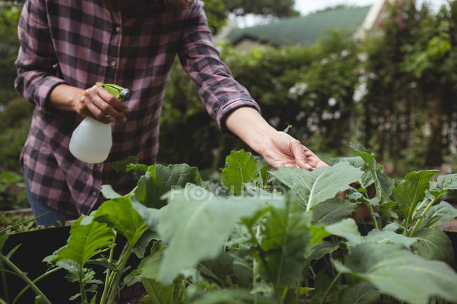 Mid section of woman spraying water on plants in garden — Stock Photo