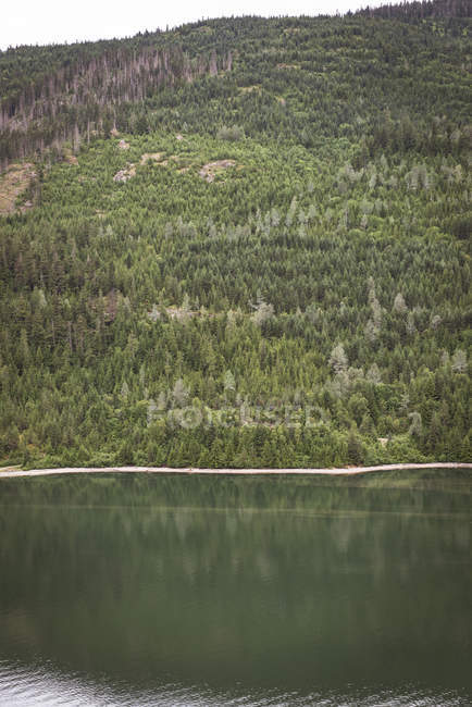 Montaña y lago verde al atardecer - foto de stock