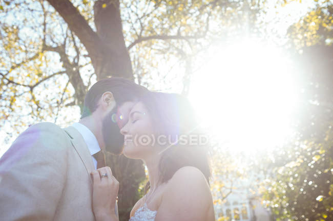 Novia sonriente y novio abrazándose en el jardín en un día soleado - foto de stock