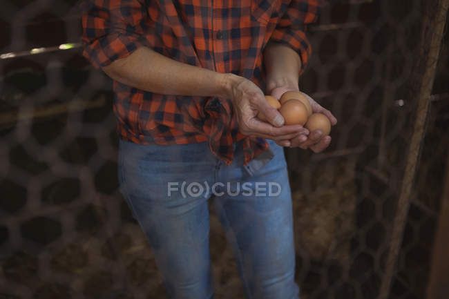 Середина жінки, що тримає коричневі яйця — стокове фото