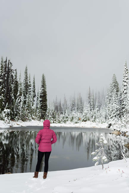 Задумчивая женщина, стоящая у озера зимой — стоковое фото