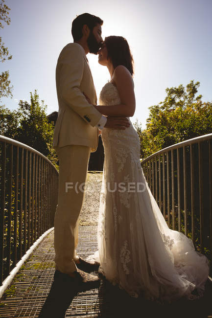 Braut und Bräutigam küssen sich an einem sonnigen Tag auf der Fußgängerbrücke im Garten — Stockfoto
