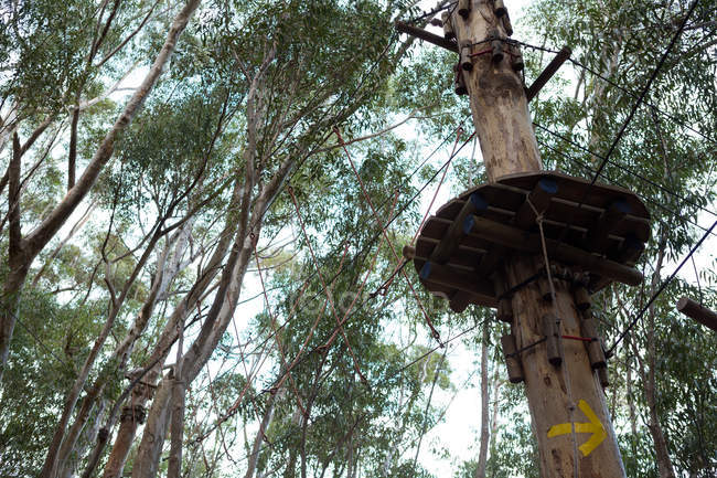 Vista de ângulo baixo do ponto de partida da tirolesa na floresta — Fotografia de Stock