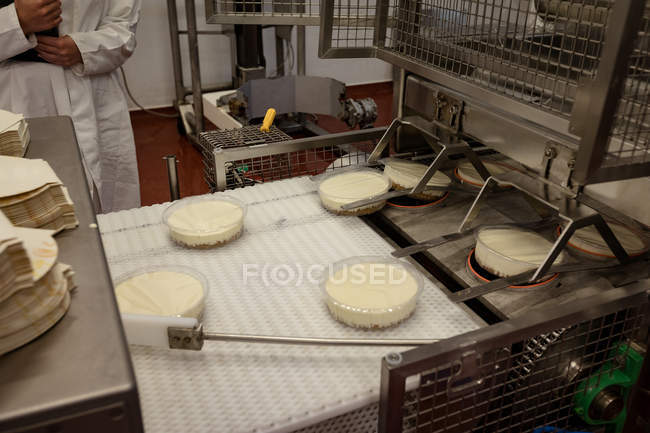 Food being packed in a container on the production line in the factory — Stock Photo