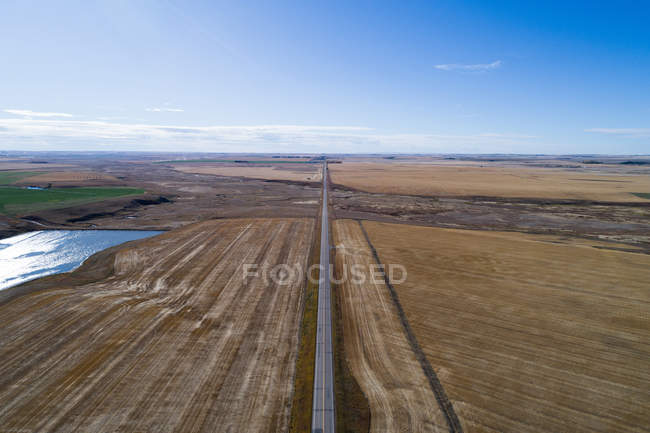 Strada vuota che attraversa il campo di grano in una giornata di sole — Foto stock