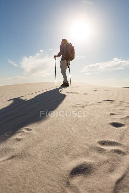 Vue arrière du randonneur avec poteau de randonnée marchant sur le sable — Photo de stock