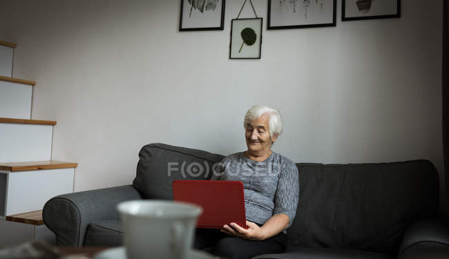 Seniorin benutzt Laptop im heimischen Wohnzimmer — Stockfoto