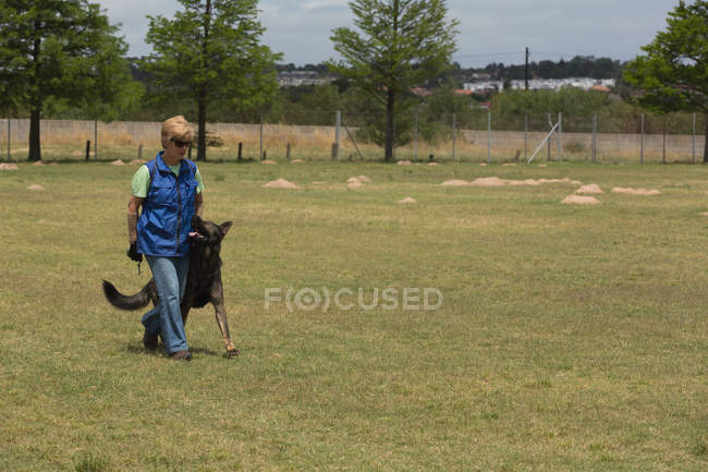 Frau geht an einem sonnigen Tag mit Schäferhund auf dem Feld spazieren — Stockfoto