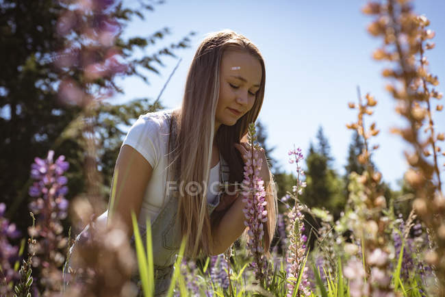 Mädchen riecht Blumen im Feld im Sonnenlicht. — Stockfoto