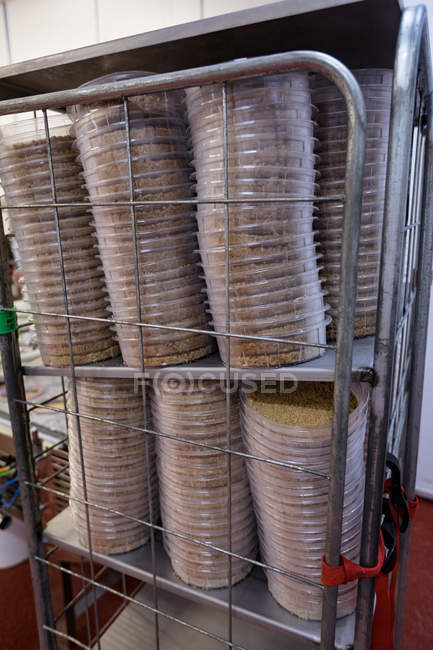 Lebensmittel im Metallregal in Fabrik gestapelt — Stockfoto