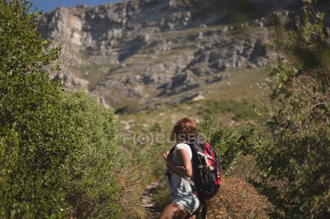 Caminhante feminina de pé com mochila na floresta no campo — Fotografia de Stock